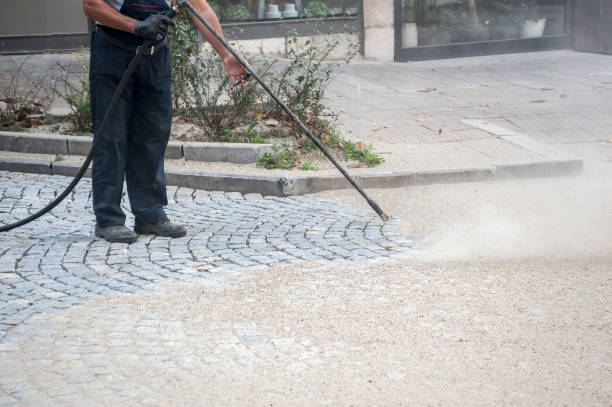 Animal Enclosure Cleaning in Boulevard Gardens, FL
